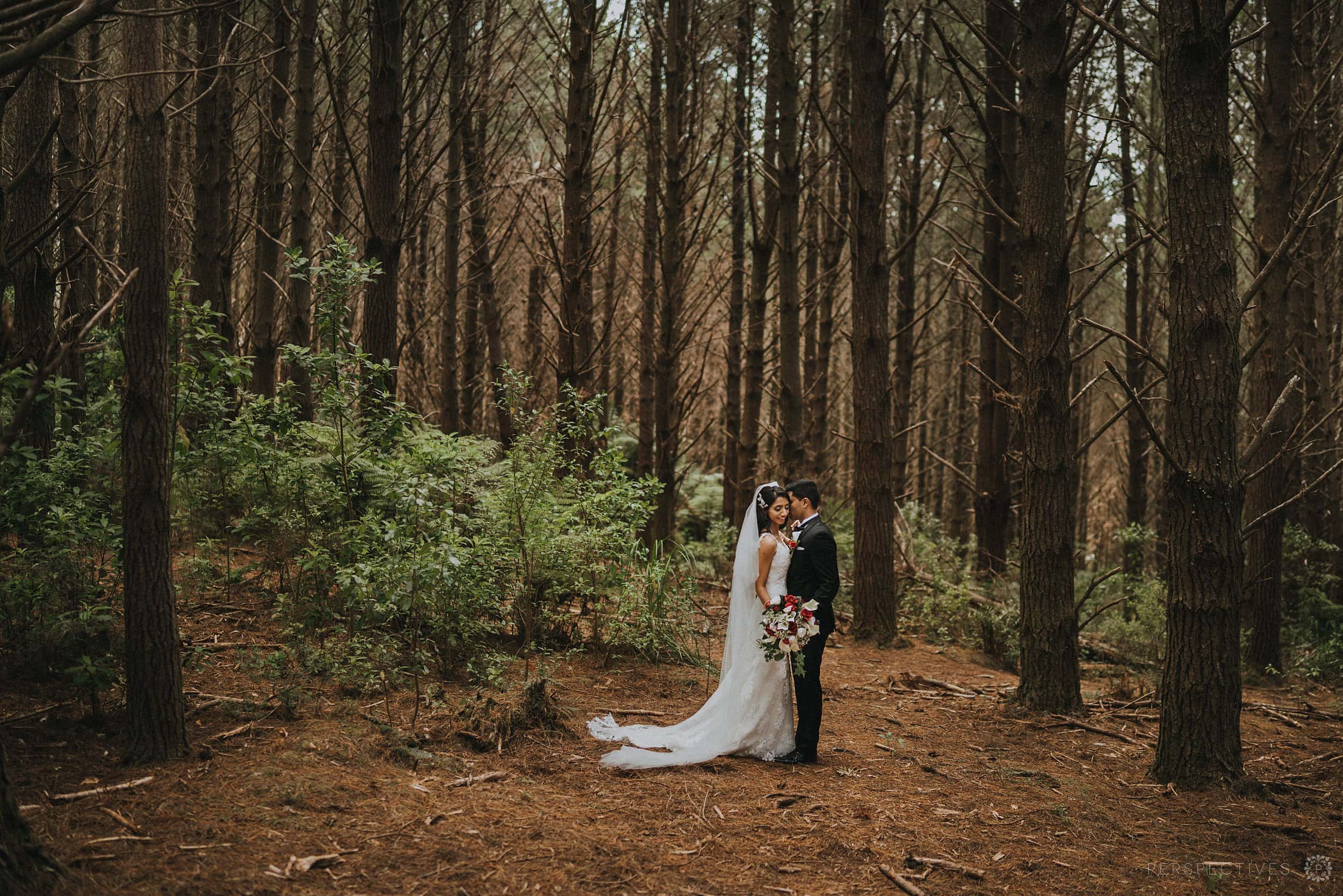 Forest wedding photo location Auckland Markovina