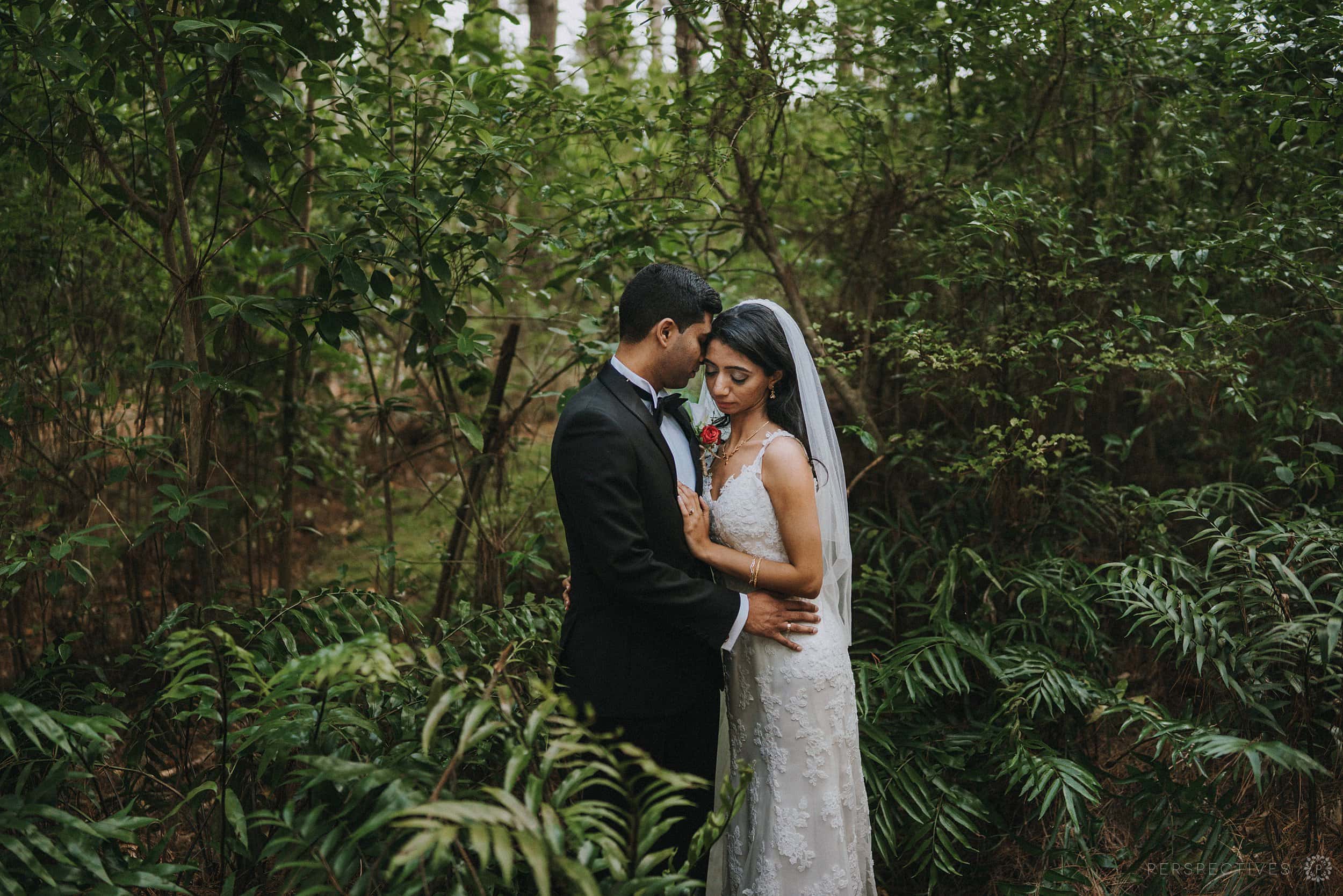 Forest wedding photo location Auckland Markovina