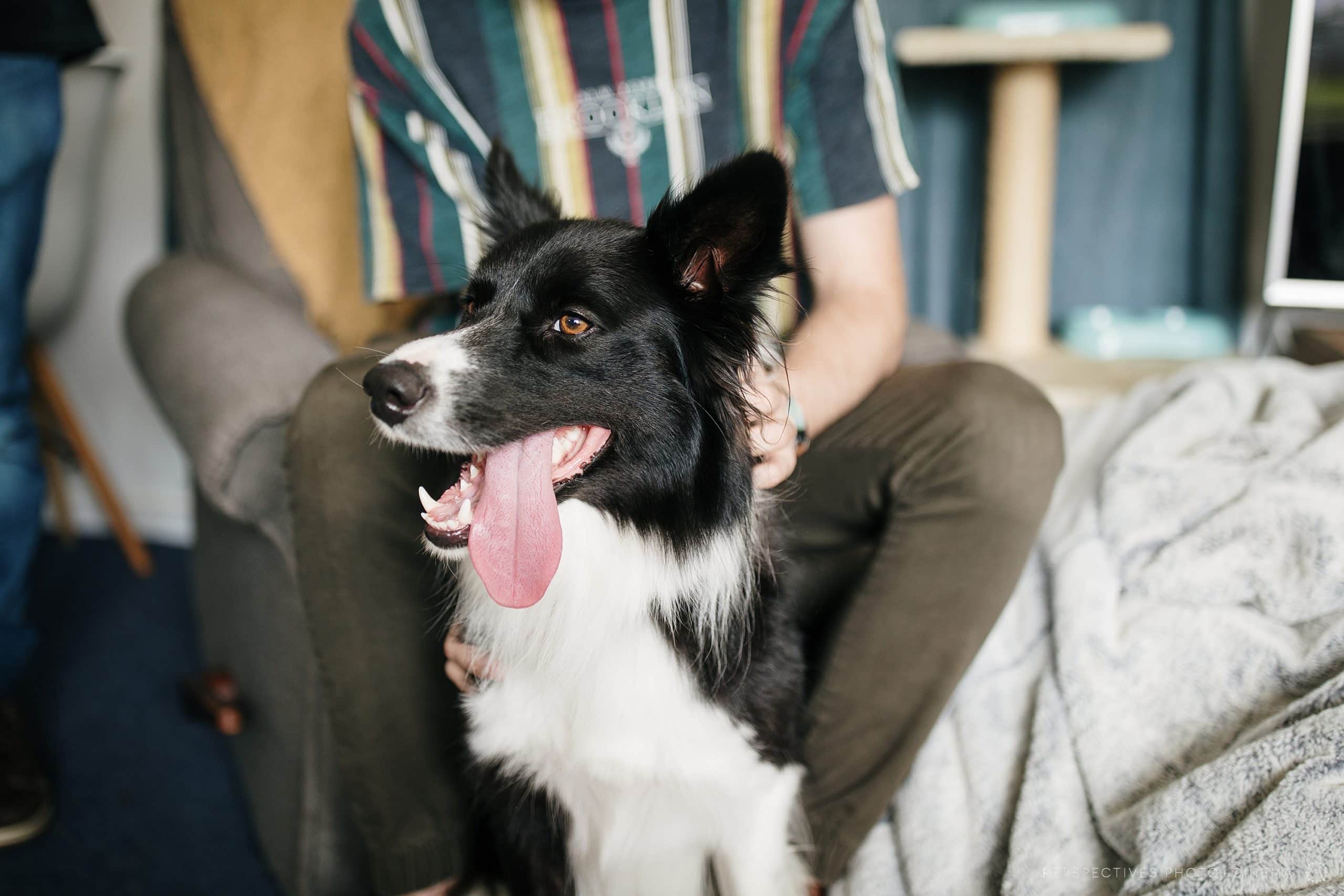 Kumeu Valley Estate Wedding photos