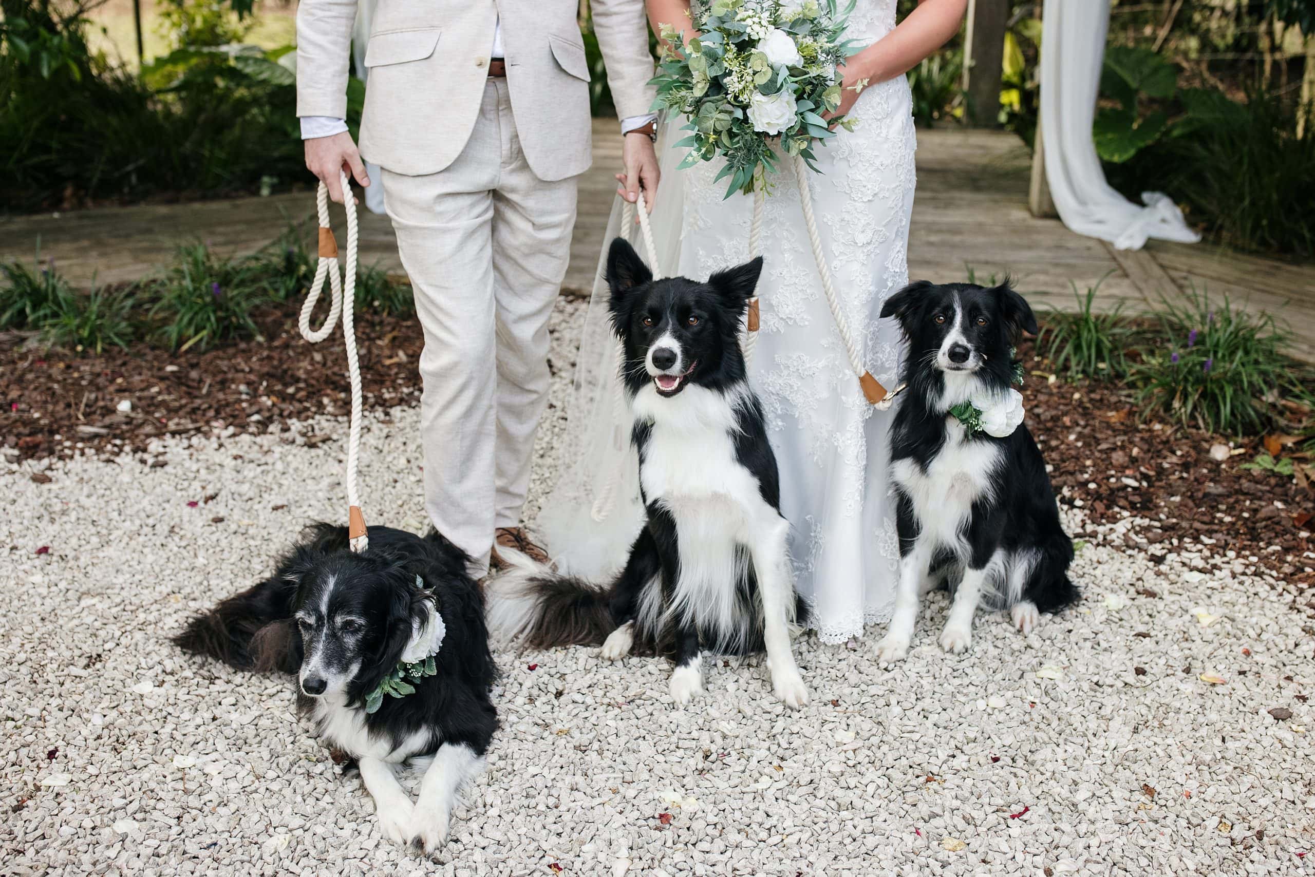 Kumeu Valley Estate wedding photos